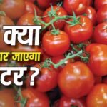 Tomato Price: मानसून गर्मी से राहत देगा, महंगाई से नहीं! बचाकर चलो टमाटर, फिर बढ़ गए रेट