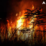 France Wildfires: फ्रांस में जंगल की भीषण आग, हजारों लोगों को सुरक्षित जगहों पर भेजा गया, जानें कैसी है मौजूद स्थिति