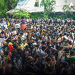 Pakistan On CJP Protest: कॉकरोच जनता पार्टी के प्रदर्शन पर क्या बोला पाकिस्तानी मीडिया, PAK एक्सपर्ट ने लगाई फटकार, जानें क्या कहा?