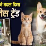 जापान में बच्चों से ज्यादा हुई जानवरों की संख्या, बदला बिजनेस ट्रेंड, कुत्ते-बिल्ली के डायपर बनाने वालों की बंपर कमाई
