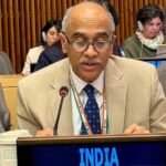 ‘भारतीय जहाजों पर हमले बर्दाश्त नहीं’, UNSC में पी. हरीश की दो टूक