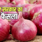 Onion Price: सरकार ने 13% बढ़ाए प्याज खरीद के दाम, जानिए आपकी रसोई के बजट पर क्या होगा असर