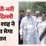 दिल्ली को ग्रीन कवर:100 जलाशय, 70 लाख पौधे और ई-बसें, राजधानी के लिए अमित शाह ने पेश किया ग्रीन मास्टर प्लान – Green Cover For Delhi 70 Lakh Saplings And E-buses Amit Shah Unveils Green Master Plan For Capital