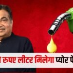 प्योर पेट्रोल खरीदेंगे तो एक लीटर कितने रुपए में मिलेगा, ये E20 पेट्रोल से कितना महंगा पड़ेगा?
