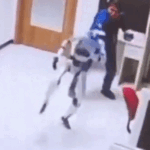 Indonesia Robot Attack VIDEO Viral