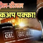 हॉर्मुज पर जो गलती पहले हुई, अब नहीं होगी! संकट से निपटने को भारत का प्लान तैयार, तेल-LPG पर भी अपडेट