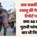 महाकाल सवारी 2026: 'श्यामू' पर घमासान, हाथी की सेहत को लेकर वन विभाग और मालिक आमने-सामने