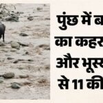 पुंछ में बाढ़ और भूस्खलन ने मचाई तबाही:एक रात की बारिश ने उजाड़ दिए कई घर, सुरनकोट में 11 लोगों की मौत – 11 People Died In Surankote.