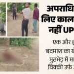 Up News:यूपी एसटीएफ ने एक लाख के इनामी कुख्यात विक्की को किया ढेर, आठ साल से पुलिस को दे रहा था चकमा – Up Stf Guns Down Notorious Criminal Vicky Who Carried A Reward Of 1 Lakh In Ambedkarnagar