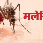 चिंताजनक:हॉटस्पॉट जिलों में मलेरिया बड़ी चुनौती, सरकार की बढ़ी मुश्किलें; आदिवासी इलाकों में फैल रहा संक्रमण – Malaria-remains-major-challenge-in-india-hotspot-districts-tribal-areas-raise-concerns