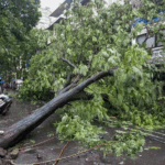 Mumbai Rain Live:मुंबई से पांच उड़ानें डायवर्ट, मनोरी तट के पास फंसा जहाज; बारिश के बीच कितनी परेशानी-जनहानि? – Mumbai Rain Alert Live Update House Collapses Due To Landslide In Pune; Imd Issues Alert.