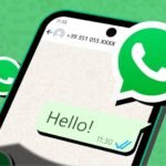 WhatsApp Username Feature Govt Probe