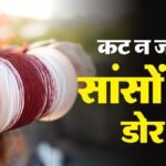 यूपी:जानलेवा बने चाइनीज मांझे पर प्रतिबंध का कानून लेकर आएगी सरकार, इससे घायल लोगों को मिलेगा मुआवजा भी – Up: Government To Introduce Law Banning Deadly Chinese Manjha, Compensation For Injured People