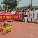 संसद के बाहर विपक्ष का प्रदर्शन:पप्पू यादव ने साधु बनकर बटोरा चंदा, राहुल ने चढ़ावा चढ़ाया; देखिए वीडियो – Opposition Protest Makar Dwar Ayodhya Ram Mandir Donation Row Pappu Yadav Rahul Gandhi