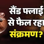 Rajasthan: Chandipura Virus Raises Alarm After Two Child Deaths; Rajasthan-gujarat Border Districts On Alert – Banswara News