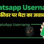 Whatsapp Username Row:यूजरनेम विवाद पर व्हाट्सएप ने सरकार को भेजा जवाब, आईटी मंत्रालय कर रहा जांच – Whatsapp Username Feature It Ministry Notice Meta India Online Fraud Digital Security Telegram Signal