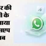 व्हाट्सएप यूजरनेम:’नए फीचर से नहीं हो सकेगी पहचान की चोरी’, सरकार की रोक के बाद मेटा की सफाई; जानें सबकुछ – India Halts Whatsapp Username Feature, Seeks Response From Meta; Here What Whatsapp Said