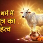 गोमूत्र का धार्मिक महत्व:गोमूत्र में है मां गंगा का वास, पूजा-पाठ में पवित्रता और शुद्धि के लिए उपयोगी – Priyanka Gandhi Gomutra Expert Remark: Why Gomutra Is Sacred In Hinduism