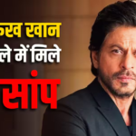 शाहरुख खान के बंगले मन्नत में मिले दो सांप, एक को किया रेस्कयू और दूसरा अभी भी लापता
