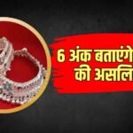 चांदी खरीदने का है प्लान, तो जान लीजिए असली और नकली में अंतर