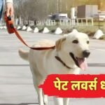 कुत्ते के साथ होटल में न मिले एंट्री तो क्या करें? इस परिवार को मिला 1 लाख का मुआवजा