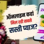Onion Price: प्याज ऑनलाइन खरीदेंगे तो कहां है सबसे कम कीमत? Blinkit या Zepto?