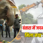 बाढ़ से बचाई गई हथिनी ‘जयमोती’ एयरलिफ्ट, अनंत अंबानी के ‘वंतारा’ में हुआ इलाज