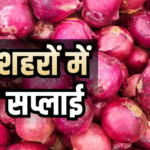 लखनऊ-पटना सहित इन 6 शहरों तक पहुंच रही प्याज, 35 रुपए में मिलेगी