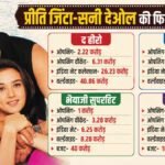 Batwara 1947 बनी सनी देओल-प्रीति जिंटा की हाईएस्ट ग्रॉसिंग फिल्म, 4 मूवीज का तोड़ा रिकॉर्ड