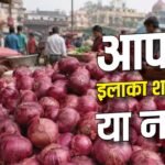 दिल्ली में इन 40 जगहों पर 35 रुपए किलो मिल रही प्याज, सरकार ने दी लिस्ट
