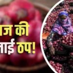 प्याज पर Ground Report: सरकारी कोशिश बेअसर, मंडियों में 10 दिनों से सप्लाई सुस्त, अभी और बढ़ेंगे दाम?