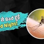 FMCG: अब मच्छरों को मारना पड़ेगा महंगा, बढ़ गए रोजाना इस्तेमाल वाले प्रोडक्ट्स के दाम