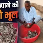 घरवालों से छिपाकर रखी मेहनत कमाई, सालभर में खा गए कीड़े; किसान को 5 लाख का नुकसान