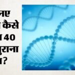 Dna Test:बचपन में अलग हुईं, फिर दोस्ती हुई और 40 साल पता खुला राज, Dna रिपोर्ट ने कैसे बदली दोनों की जिंदगी? – Dna Test: Separated In Childhood, Became Friends By Chance, And Discovered 40 Years Later They Were Sisters