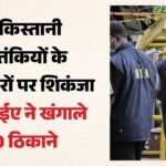 Nia:पाकिस्तानी आतंकियों के मददगारों के 10 ठिकानों पर एनआईए की रेड, पनाह-रेकी और सामान पहुंचाने का करते थे काम – Nia Raids 10 Locations In J&k Over Pakistan Terror Network, Ogw Links Under Probe