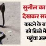 कोबरा लेकर अस्पताल पहुंचा सुनील:शराब पीकर लेटा था, काटने के बाद सांप हुआ बेहोश, डिब्बे में भरकर ले गया युवक – Cobra Bites Sleeping Youth Then He Traps Snake In A Box And Rushes To Hospital