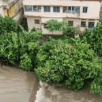 Odisha Flood:पांच दिन तक पेड़ से चिपका रहा शख्स, नदी में बहने के बावजूद बचाव दल ने कैसे सुनंदा की जान बाचाई? – Odisha Flood: Man Clung To A Palm Tree For Five Days After Being Swept Away By River