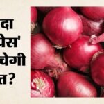प्याज संकट से राहत की कवायद:सरकार ने उठाया बड़ा कदम, 35 रुपये प्रति किलो के भाव पर लोगों को बेची जाएगी – Central Government’s Big Decision: Onions To Be Sold At 35 Rupees Per Kg To Control Prices