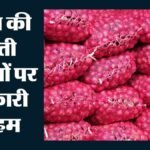 मिलेगी राहत:453 टन प्याज लेकर नासिक से दिल्ली पहुंची कांदा एक्सप्रेस, जानिए किफायती दर पर कहां होगी बिक्री – ‘kanda Express’ With 453 Tonnes Of Onion From Nashik Reaches Delhi To Help Cool Prices