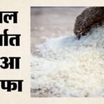महंगा हुआ चावल:दाम में 15 फीसदी उछाल, निर्यात ने फिर भी पकड़ी रफ्तार; दाल खरीद के लिए खुलेंगे 500 केंद्र – Rice-prices-rise-export-reaches-three-year-high-500-pulses-procurement-centres