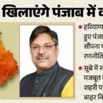 राजनीति:हरियाणा मॉडल के सहारे पंजाब में कमल खिलाना पूनिया के लिए चुनौती, ये 2 पार्टी हैं प्रमुख प्रतिद्वंद्वी – Satish Poonia Handed Punjab Bjp Charge Alongside Haryana Role Ahead Of 2027 Polls