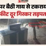 सामने अस्पताल, सड़क पर जिंदगी की जंग:एक घंटे तड़पता रहा आशु, फिर थम गईं सांसें; जिम्मेदार कौन? देखें Video – Scooter Hits Cow On Road In Faridaba Businessman Dies