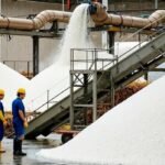 Sugar Stock Limit:चीनी कारोबारी 15+ दिन का स्टॉक नहीं रख सकेंगे, त्योहार से पहले सरकार की सख्ती का कारण क्या? – India Sugar Dealer Stock 15 Days Govt Notification Order Inforce From 1st Sept Until Nov 30 Sugar Demand News