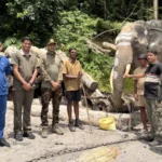 World Elephant Day: हाथियों के लिए वंतारा की बड़ी पहल, जयपुर से ग्लोबल मिशन तक बढ़ा दायरा