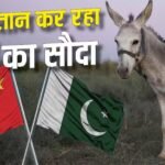 Xप्लेन: दुनियाभर में हर साल मारे जाते हैं लाखों गधे, कैसे ग्लोबल सप्लाई चेन का हब बन रहा पाकिस्तान?