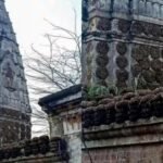 पाकिस्तान में TLP ने तोड़ा 100 साल पुराना मंदिर, मदरसा में मिलाया