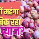 सरपट भाग रही ‘कांदा एक्सप्रेस’, फिर क्यों नहीं थम रहे प्याज के दाम; कब होगी सस्ती?
