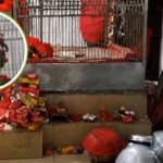 बांग्लादेश में काली मंदिर को बनाया निशाना, मूर्ति-गहने चोरी