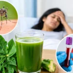 Platelets कम होते ही पिलाते हैं पपीते के पत्तों का जूस, लेकिन क्या वाकई है इसका फायदा? डॉक्टर ने बताया सच