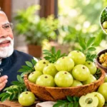 Video: PM मोदी ने जिस आंवले का किया जिक्र, जानें Skin Glow से लेकर Health तक इसके फायदे